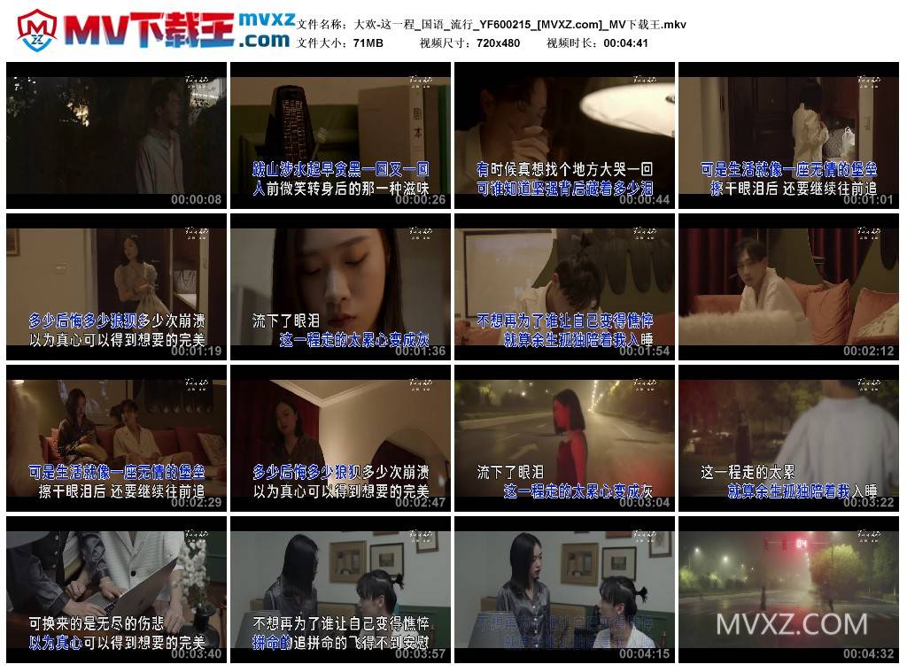 大欢-这一程_国语_流行_YF600215